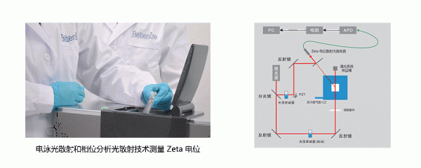 牡丹江BeNano Zeta 电位分析仪